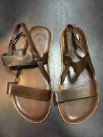 TT02 Marron